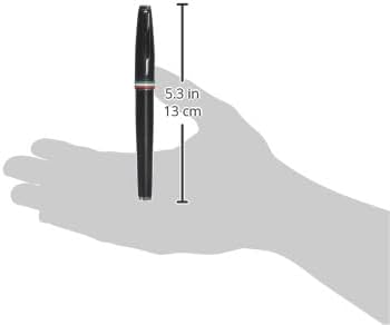 Monteverde USA Aldo Domani Italia Fountain Pen Matte Black - Fine Nib - Luxury Writing Pen - Italian Design - JoWo Stainless Steel Nib - Smooth Ink Flow - Refillable - Gift Box Included