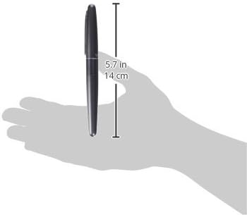 Pilot Cocoon Fountain Pen Medium Nib Metalic Gray Body (FCO-3SR-MGY-M)
