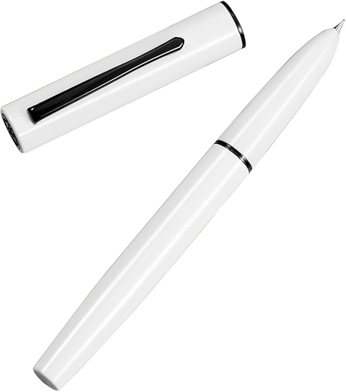 HONG DIAN C1 Fountain Pen Fine Nib, Snow White & Classic Retro Design Metal Pen with Ink Converter