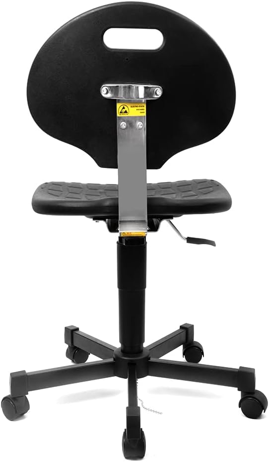 Ergonomic Office Chair with Superior Stability and Support 450lbs Capacity Polyurethane Foam Design 18 Inch Adjustable Footring 21 to 31 Inch Height Adjustment Ideal for Lab Office Home