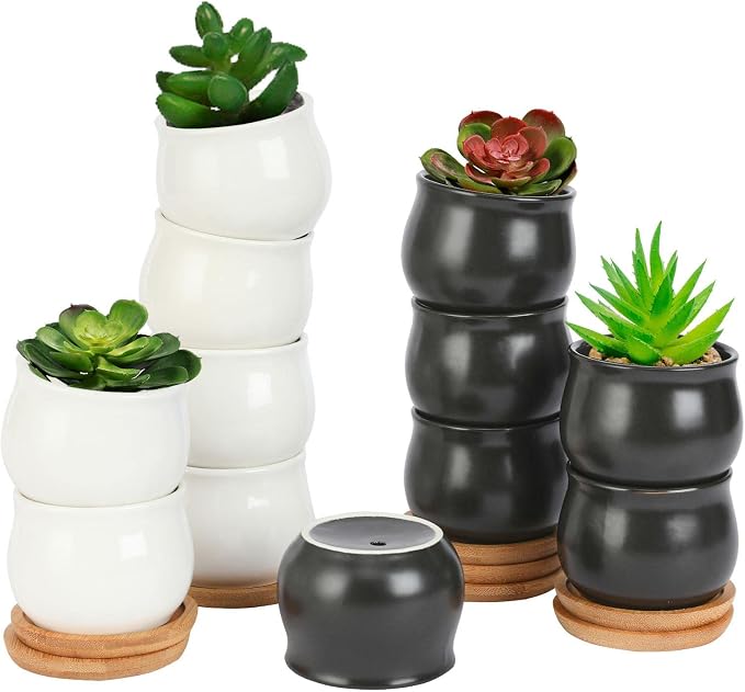 SHECIPIN 12 Pack Succulent Plant Pot, Mini 2.6 inch Ceramic Flower Planter Pot with Bamboo Tray, Small Pots for Plants, Plants Not Included (White, Black)