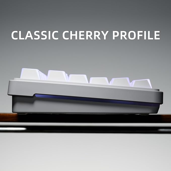 XVX White Shine Through Keycaps, PBT Keyboard Keycaps Cherry Profile, Custom Side Printed Keycap Sets Suitable for 60% 65% 75% 80% 100% Mechanical Keyboard