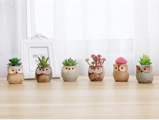 T4U Owl Ceramic Succulent Planter Set of 6, 2.5 Inch - Mini Cute Animal Pots with Drainage Holes, Small Flower Planters for Windowsill Desk Decor, Gift for Owl Lovers