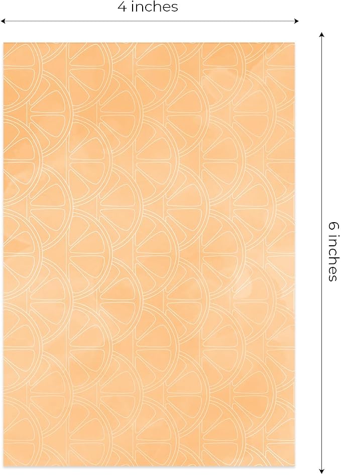 Citrus Vibes Note Assortment / 4" x 6" Tropical Repositionable Sticky Notes/Set of 5 Colorful Fruit Themed Pads/Made in The USA