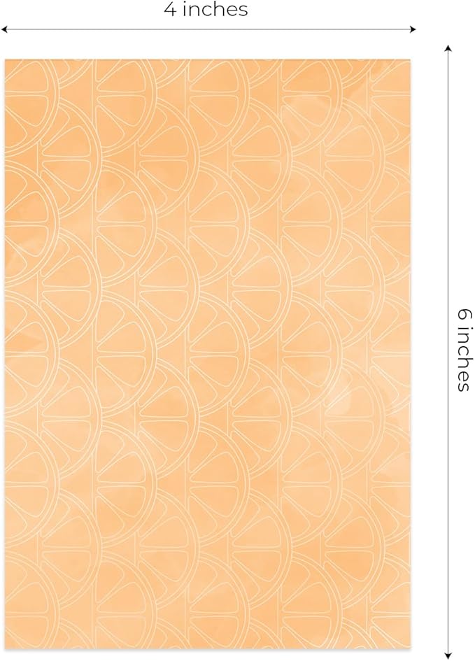Citrus Vibes Note Assortment / 4" x 6" Tropical Repositionable Sticky Notes/Set of 5 Colorful Fruit Themed Pads/Made in The USA