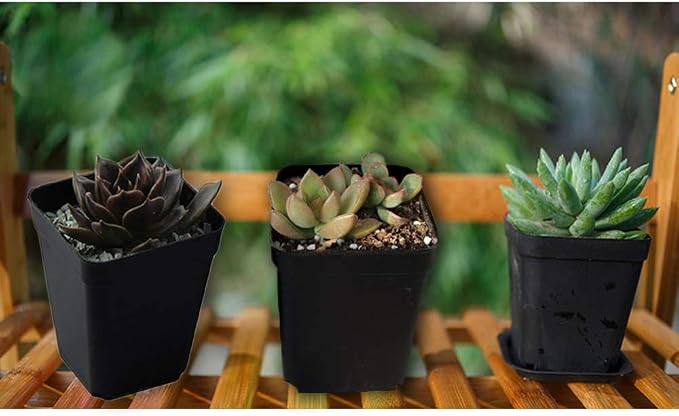 OJYUDD 24 Pack 3 Inch Black Nursery Pot Flower Pots Square Plastic Plant Pot Plastic Starter Pots with Saucer Basket Indoor Outdoor for Your Room,Garden Office and Balcony Decor