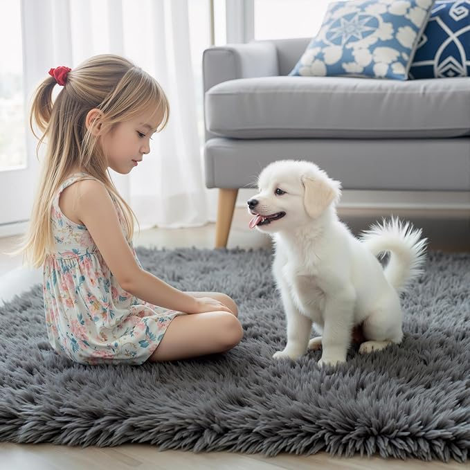 Rugs for Living Room 6x9, Alfombras para Salas Shag Large Plush Soft Area Rug, Shaggy Carpets for Bedroom,Home Decor Aesthetic (Dark Grey, 6 x 9 Feet)