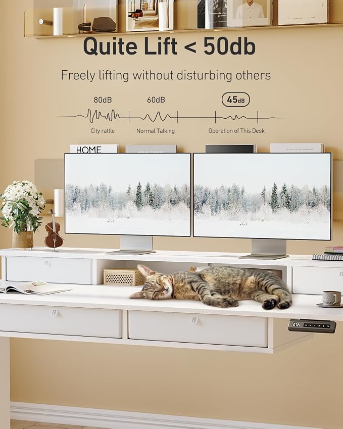 FEZIBO 48 x 24 inch Standing Desk with Drawers, Height Adjustable Electric Workstation, Computer Sit Stand Up Table with Large Storage Shelf 4 Drawers and 2 Hooks, White
