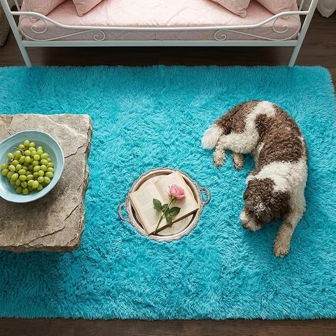 Mugorn Small Soft Shag Rugs for Bedroom, 3x5 Fluffy Area Rugs for Living Room