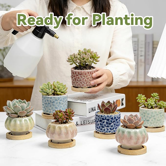 8 Pcs Succulent Pots with Ice Crack Glaze, 2 Shapes & 8 Colors Ceramic Succulent Planters with Drainage Holes & Bamboo Saucers, Indoor Plant Pots for Home Garden,Desk Decor, Office Decor, Gift Idea