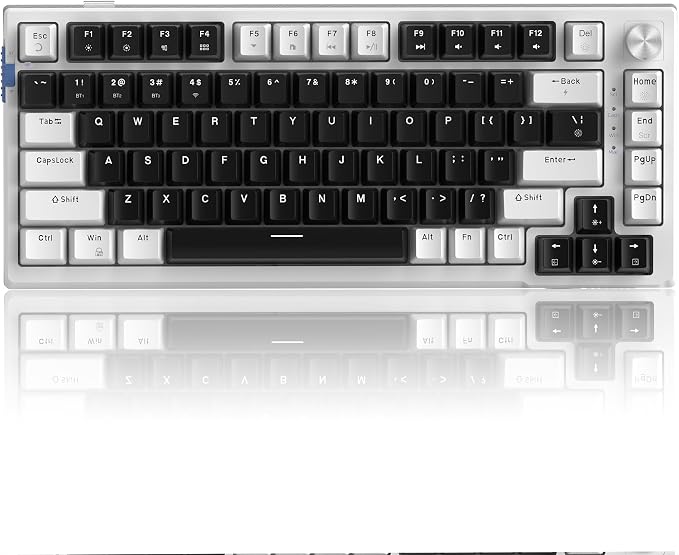 MageGee SKY81 75% Wireless Gasket Mechanical Gaming Keyboard, Hot Swappable RGB Custom Creamy Keyboard w/ 5-Layer Padding, BT/2.4G/USB-C, Knob Control, NKRO for Win/Mac (Mecha, Blue Whale Switch)