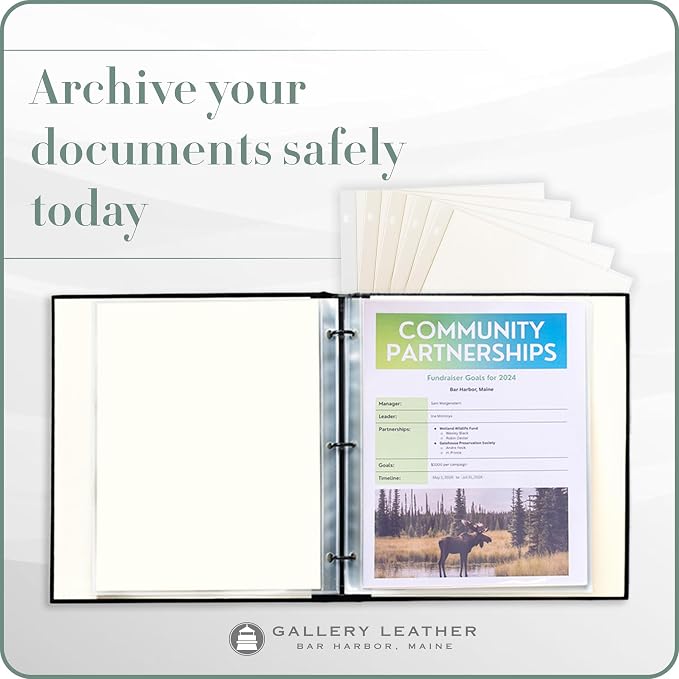 Gallery Leather Clear Sheet Protectors for 3 Ring Binder - Top Loaders Sleeves, 8.5 x 11 Inch, 5 Sheets, Archival Safe, Letter Size, for Documents, Presentations and Photos
