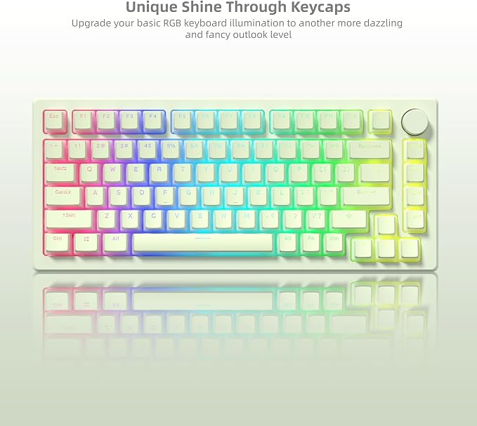 Womier Shine Through PBT Keycaps, Green Pudding Key caps, OEM Profile Double Shot Custom Keyboard Keycaps 130-key Set for 60% 65% 75% 100% Cherry Gateron MX Mechanical Keyboard-Matcha Green