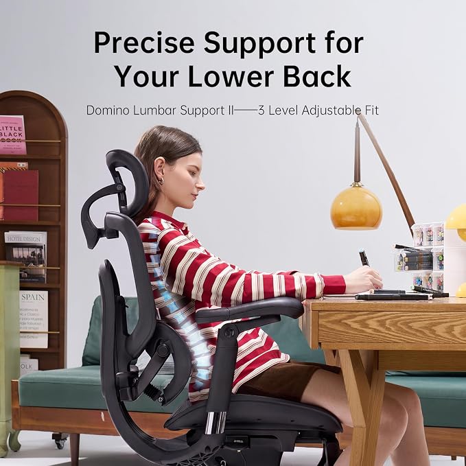 SIHOO Doro C300 Pro V2 Ergonomic Office Chair Without Footrest, Full-Body Adaptive Support, 8D Armrests & Breathable Mesh, Comfy High Back Computer Desk Chair for Long Hours, 135° Recline (Black)