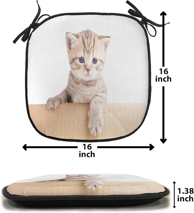 Lunarable Cat Chair Cushion Pads Set of 8, British Cat in Cardboard Box Little Striped Fur Looking at Camera Picture, Anti-Slip Seat Padding for Kitchen & Patio, 16"x16", Sand Brown White