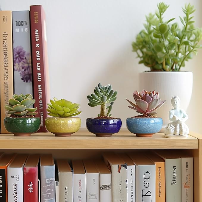 T4U 2.5 Inch Small Ceramic Succulent Planter Pot with Drainage Hole Set of 12, Ice Crack Glaze Plant Container for Cactus, Plant Lover Gifts for Women Mom Aunt Home Office Decor
