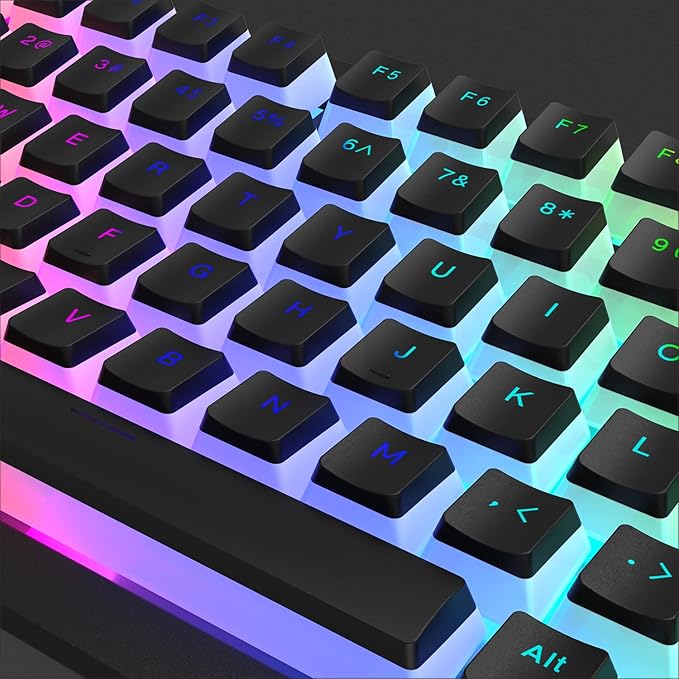 Womier Pudding Keycaps, PBT Shine Through Keycaps 165 Keys Set Custom Key caps Set OEM Profile, Universal Compatiability for 100%, 75%, 65%, 60% Keyboard-Black
