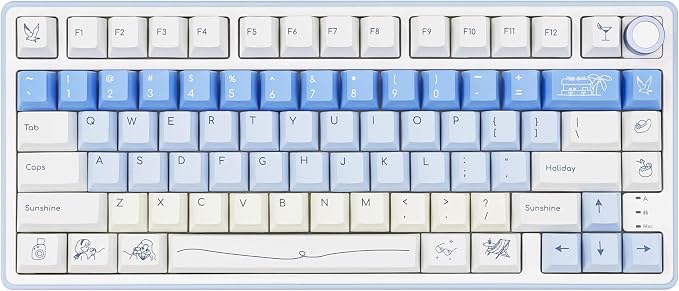 White & Blue PBT Keycaps, Cherry Profile Dye-Sublimation Keycap 130 Keys for 60%/65%/75%/100% Cherry MX Switches Mechanical Keyboard