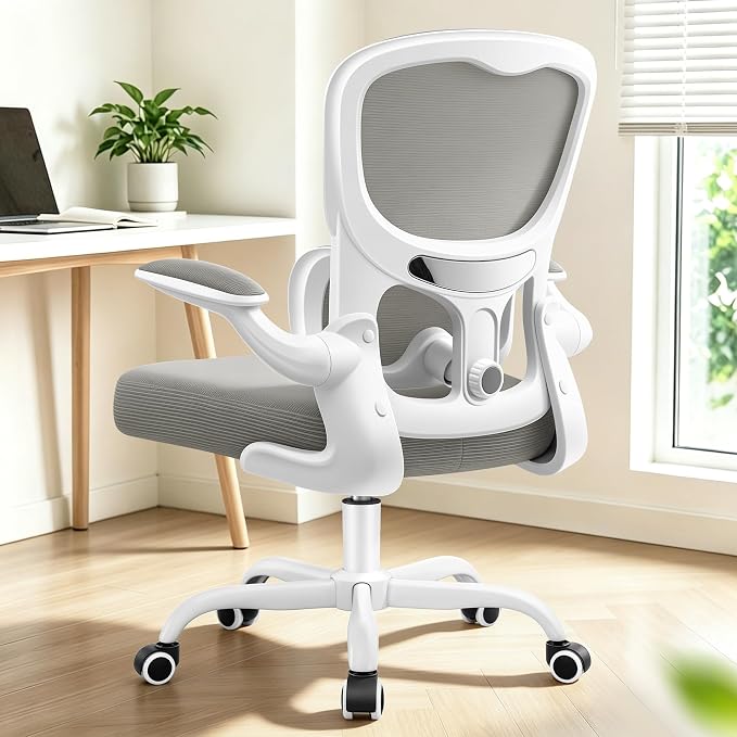 ALLGOD Ergonomic Office Chair, Breathable Mesh Ergonomic Desk Chair with Adjustable Lumbar Support, Flip-up Armrests, Computer Chairs Comfortable for Home, Office, Work, 300lbs, LightGray, Upgrade