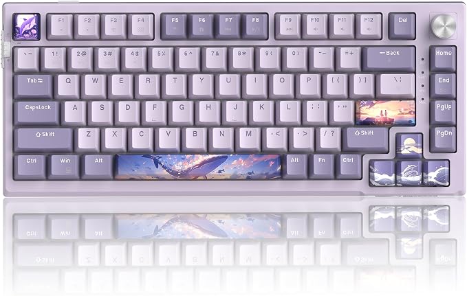 MageGee SKY81 75% Wireless Gasket Mechanical Gaming Keyboard, Hot Swappable RGB Custom Creamy Keyboard w/ 5-Layer Padding, BT/2.4G/USB-C, Knob Control, NKRO for Win/Mac (Dreamy Sky, Violet Switch)