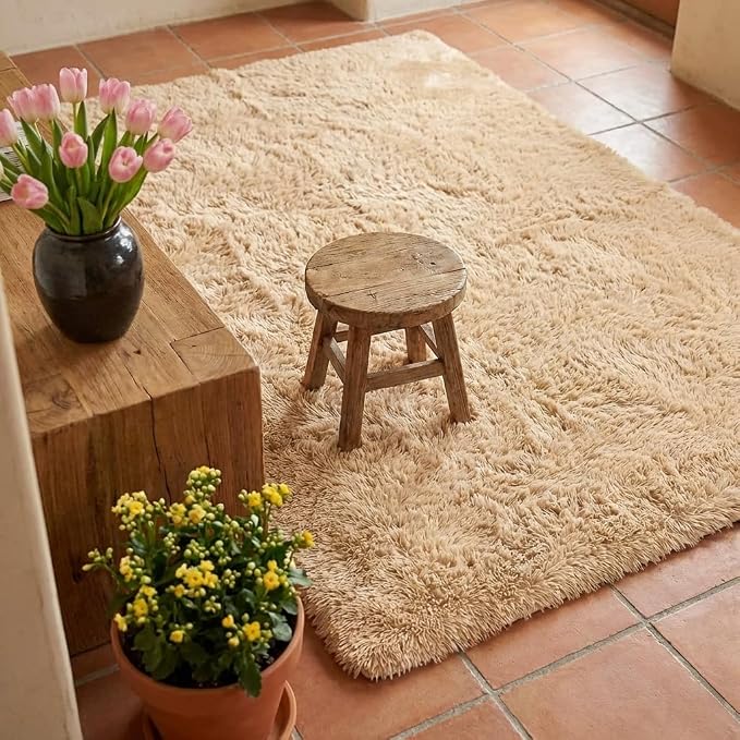 Mugorn Small Soft Shag Rugs for Bedroom, 3x5 Fluffy Area Rugs for Living Room