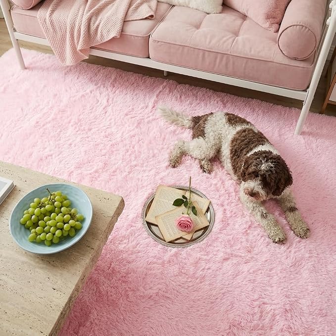 Mugorn Small Soft Shag Rugs for Bedroom, 2x3 Fluffy Area Rugs for Living Room
