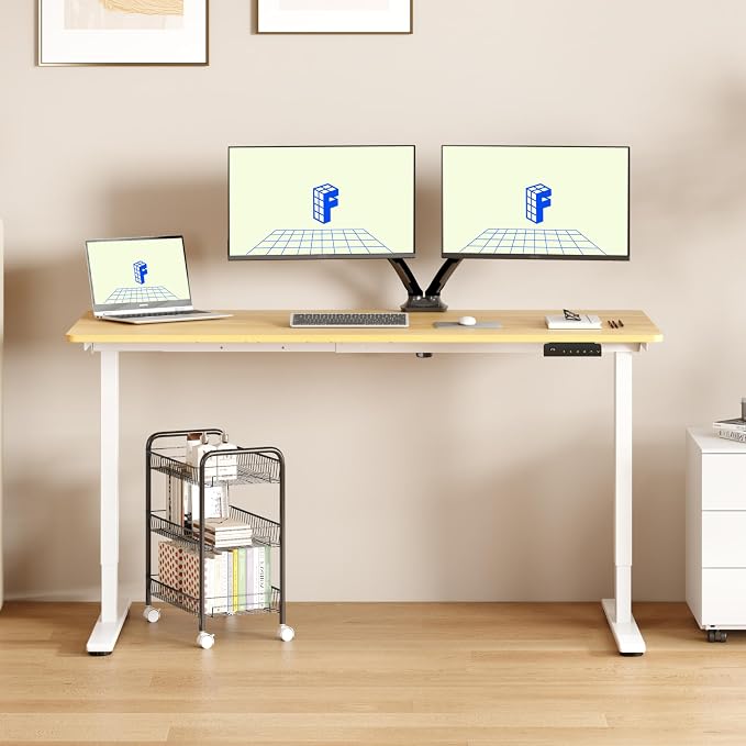 FLEXISPOT E3 Bamboo Dual Motor Electric Standing Desk 48 x 24 Sit Stand Up Desk, Holds 220 lbs, Adjustable Height w/Memory Presets, Solid Bamboo Desktop & White Frame, Ships in 2 Boxes