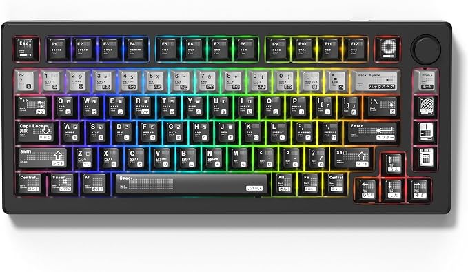 PBT Keycaps with Metal Paint, Janese Style 112-Key Black/Silver Custom Keycap Set dye Sublimation,Cherry Profile Key caps for 61/64/66/68/75/84/87 MX Switches Mechanical Keyboards