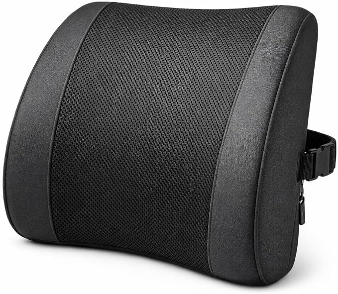 Memory Foam Lumbar Support Cushion, Ergonomic Back Support for Office Chair