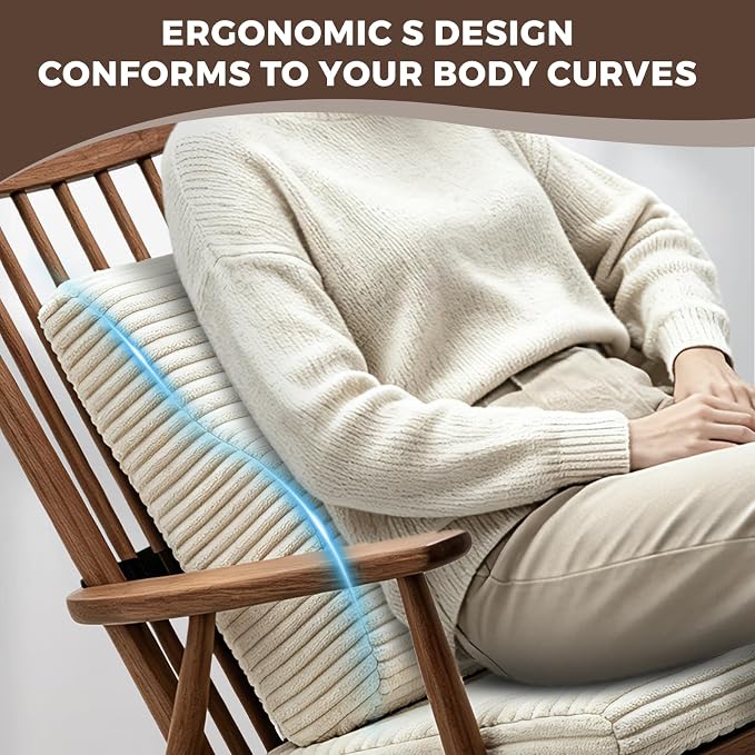 Lumbar Support Pillow for Recliner Chair/Accent Chair/Couch, Large Memory Foam Back Support Cushion for Elderly, Ergonomic Backrest Pillow for Back Rest, Pain Relief, Reading, Washable Cover, Beige