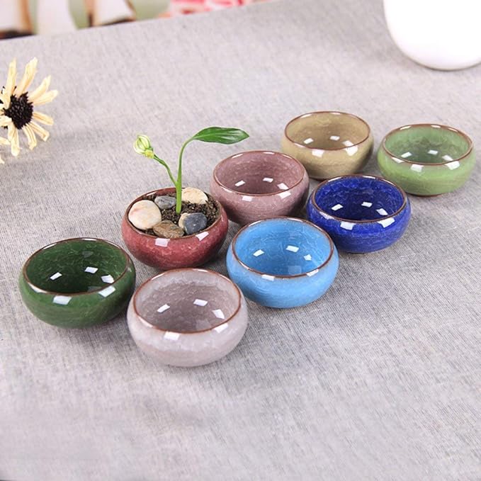 Succulent Plant Pot, 12 Pcs 2.5 Inch Ceramic Ice Crack Cactus Plant Pot/Flower Pot/Container/Planter