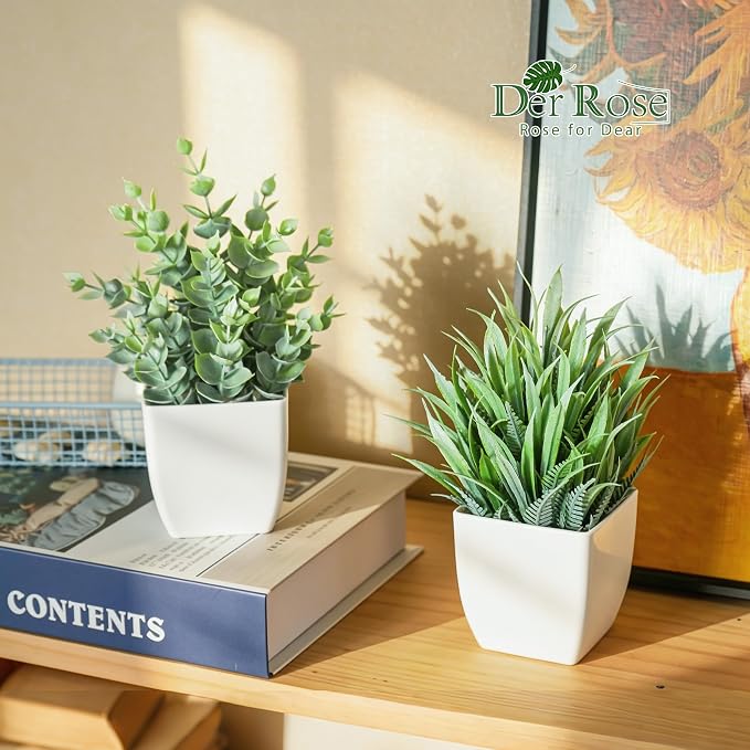 Der Rose 2 Pack Small Fake Plants Mini Artificial Potted Plants for Table Desk Home Laundry Room Bathroom Office Classroom Decor