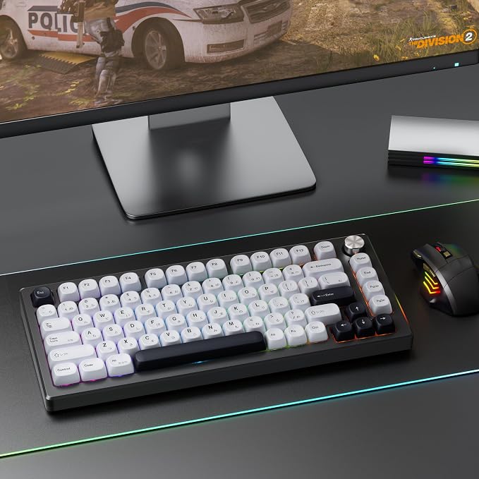 XVX PBT Keycaps - White Keycaps MOA Profile, Japanese Key caps 75 60 100 Percent, Dye-Sublimation, Custom 137 Keys Set for 100%, 75%, 65%, 60% Mechanical Keyboard, Bow