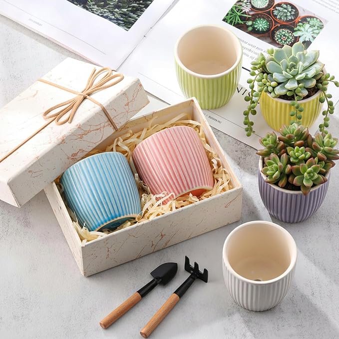 24 Pcs 2.7 Inch Small Succulent Plant Ceramic Pot with Drainage Hole, Cute Mini Succulent Pots for Plants, Succulents, Cactus, DIY Easter Spring Craft Activity, 6 Colors(Vertical Stripes)