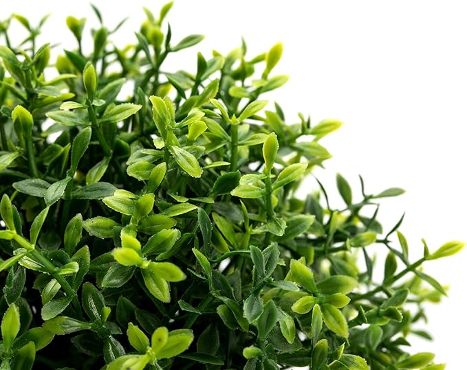Velener 2Pcs Mini Artificial Boxwood Topiary Faux Plants Indoor- Small Fake Plants Decor Magnolia Home Office Desk Cubicle Farmhouse Kitchen Bookshelf Bedroom Bathroom Decor, Aloe Vera Zen Garden