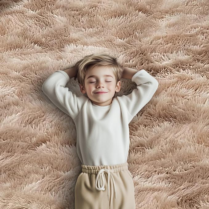 Rugs for Bedroom 4x6, Alfombras para Salas Shag Plush Soft Area Rug, Shaggy Carpets for Livingroom,Home Decor Aesthetic(4 x 6, Dark Beige Tie-Dyed)