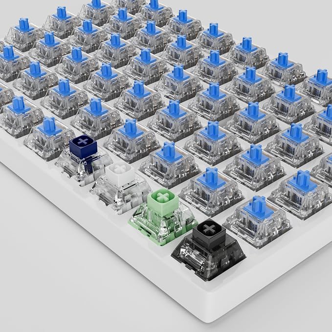 Zhouwang 50 Crystal Blue Switches,4 Kailh Box Experience Pack Switches,Strong Tactile Feedback with Crisp Click Sound,Suitable for clicker for 3D Prints and MX Gaming Mechanical Keyboards
