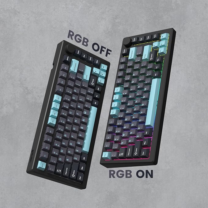 dagaladoo Keyboard keycaps Set, Double Shot PBT keycaps,Cherry Profile Custom Key caps 60 65 75 100 Percent for Cherry-mx Full Size Retro Mechanical Keyboard,Grey/Blue
