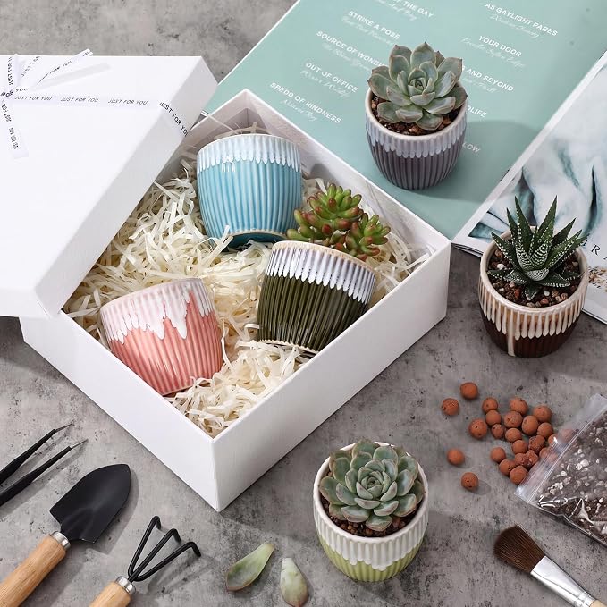 24 Pcs 2.7 Inch Small Succulent Plant Ceramic Pot with Drainage Hole, Cute Mini Succulent Pots for Plants, Succulents, Cactus, DIY Easter Spring Craft Activity, 6 Colors(Color Blocking)