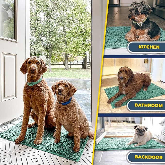 Muddy Mat® | Super Absorbent Door Mat Indoor, Microfiber Quick Dry Chenille Entryway Rug, Non-Slip Front Door Mat, Indoor Mats for Entryway, Machine Washable Pet Rug, Seafoam Green 30"x19"