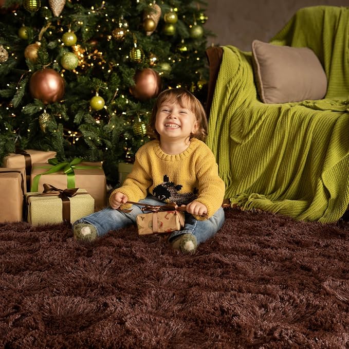 HOMORE Living Room Rug 5 x 7 Area Rug, Brown Rugs for Living Room Bedroom, Large Fluffy Rugs Super Soft Carpet for Kids Room Classroom Dorm Home