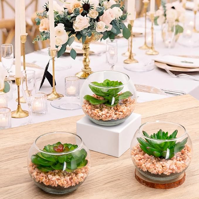 Briful Mini Fake Plants 3 Packs Artificial Succulents Plants in Round Glass Vase Cute Faux Succulents for Bathroom Kitchens Shelf Table Decor
