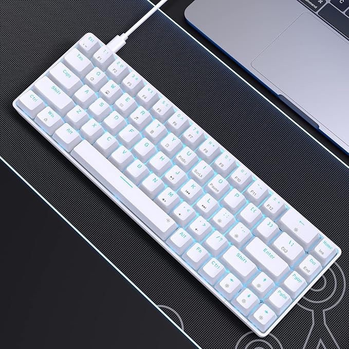 DIERYA T68SE 60% Gaming Mechanical Keyboard,Ultra Compact Mini 68 Key with Red Switches Wired Keyboard,Anti-Ghosting Keys, for Windows Laptops and PC Gamers,White