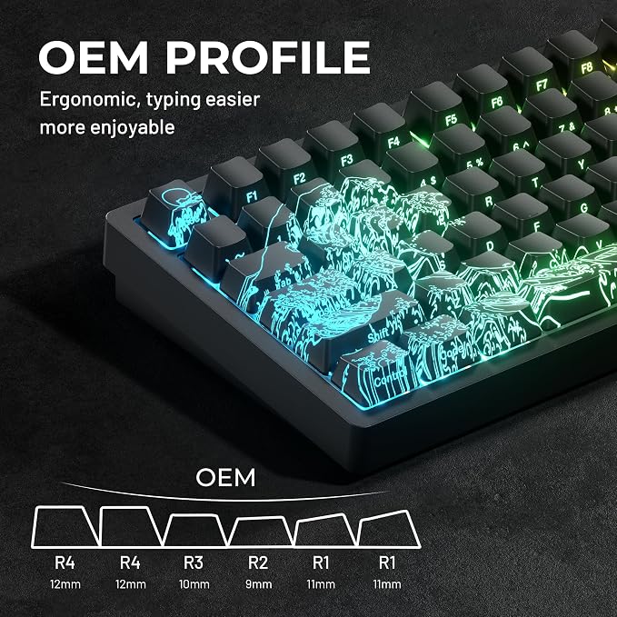 HITIME x XVX Kanagawa Keycaps 60 75 100 Percent - Shine Through Keycaps w/IMD Tech, for Mechanical Keyboards, Full 118 Key Set, OEM Profile, Lines Backlit, Side Printed - Black
