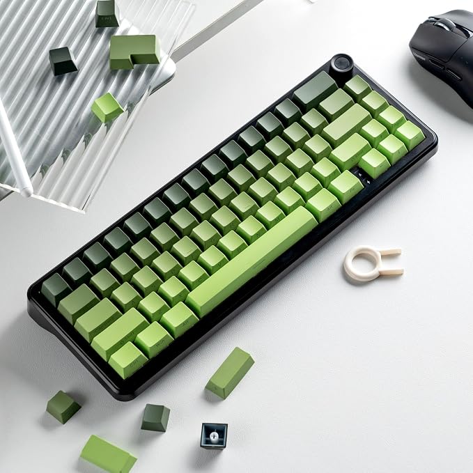 dagaladoo Double Shot PBT Keycaps Set, Shine Through Keyboard keycaps,Side Printed Custom Key caps 60% 75% 100%,OEM Profile Japanese keycap for Mechanical Keyboard MX Switch,Matcha Green
