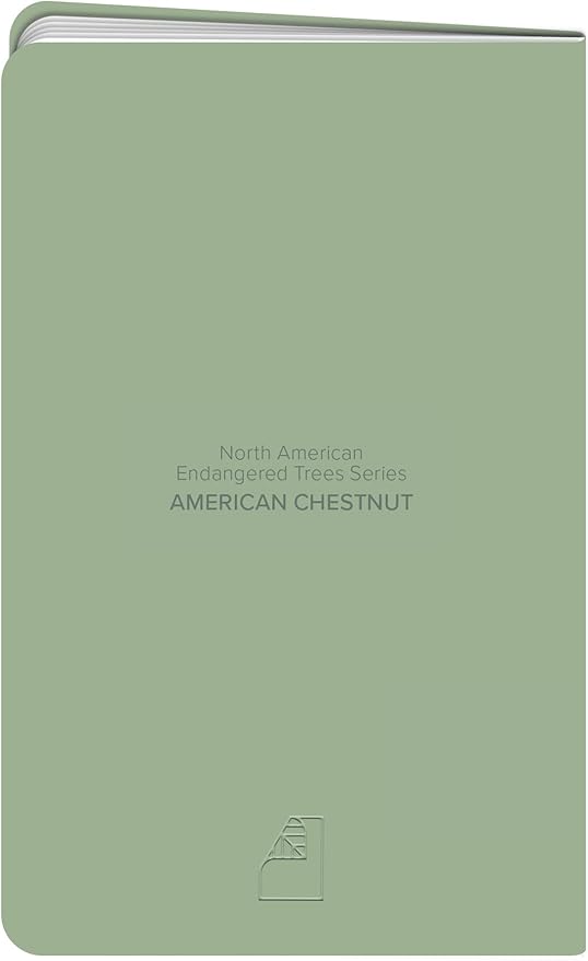 New Leaf Green Notes™ Memo Books, Sustainably Designed, 100% Recycled Paper, Chestnut Embossed Cover, Blank Pages, 3.5" x 5.5", 3 Books Per Pack