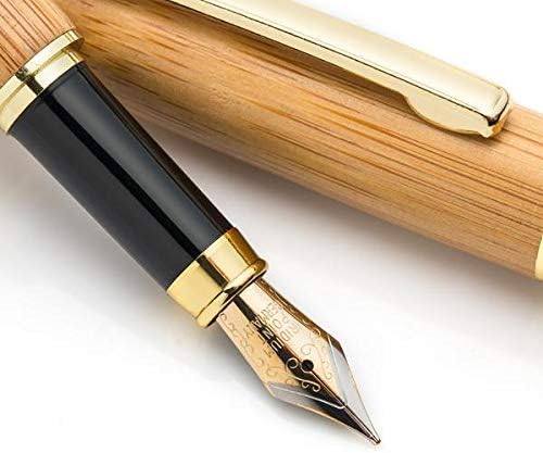 Dryden Designs Luxury Bamboo Fountain Pen with Ink Refill Converter and Matching Gift Case - Smooth & Elegant, Gift Set for Calligraphy Writing, Signature, Journal, Artist and Professionals