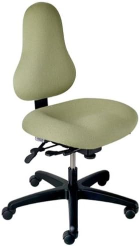 Discovery Back 300 lbs Multi-Function Task Chair