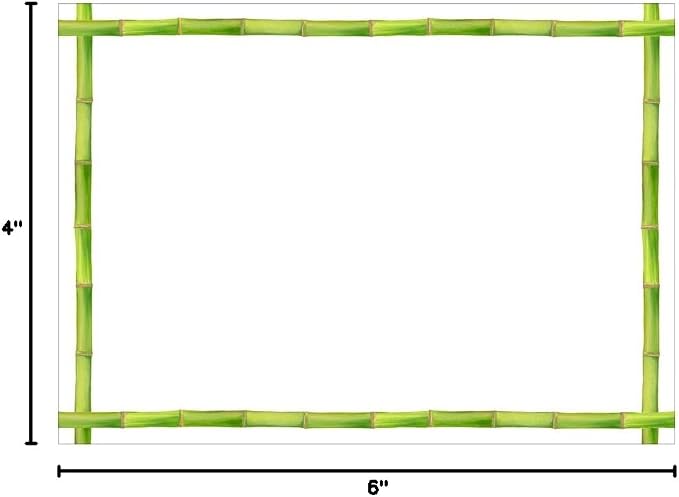 Caspari Bamboo Border Green Correspondence Cards - 12 Per Package