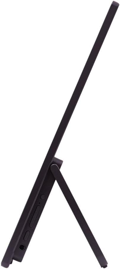 Acer AOPEN 15.6" FHD IPS Portable Monitor with 6ms Response Time, Anti-Glare, 250 nits Brightness, VESA Mount (100mm), AMD FreeSync, Mini HDMI & Dockztorm USB Port Expander, Black Color 2 Pack